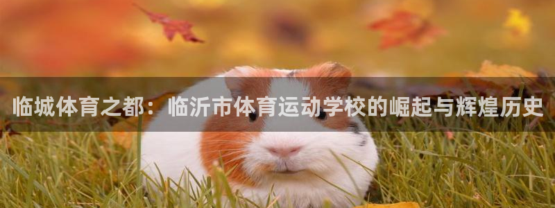 vsport体育官网下载招商电话地址:临城体育之都:临沂市体